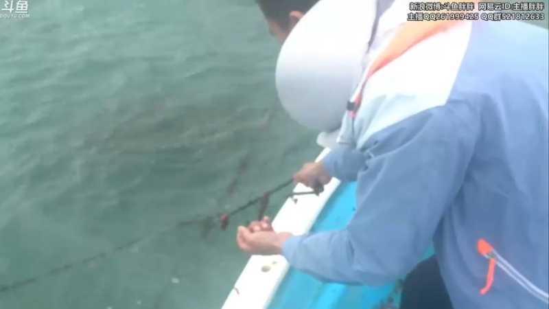 【2022-03-25 03点场】胖胖灬：胖胖OB：V5\RNG\Tes备战季后赛