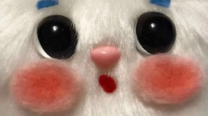 在单身这件事情上从未有过男朋友