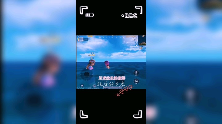 樱花草