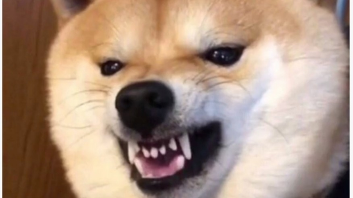 下饭