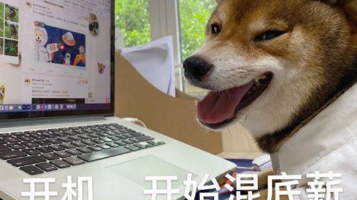 轮播用