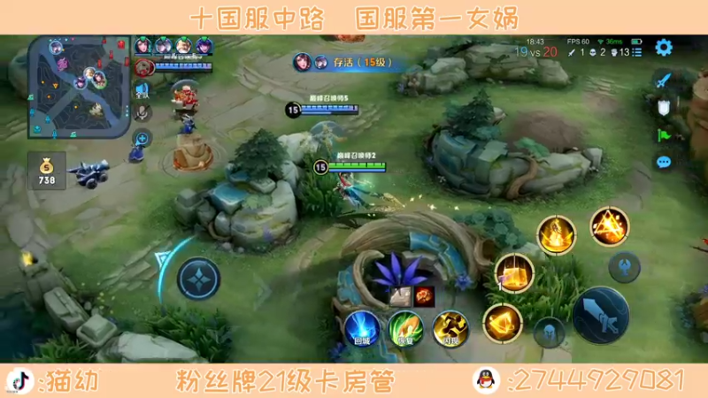 【2022-03-26 23点场】猫幼zzz：（今天双倍）我是一朵安静的向日葵