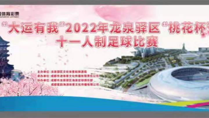 【全场】2022·龙泉驿区“桃花杯”十人人制足球联赛 八零后 VS 华创嘉盛