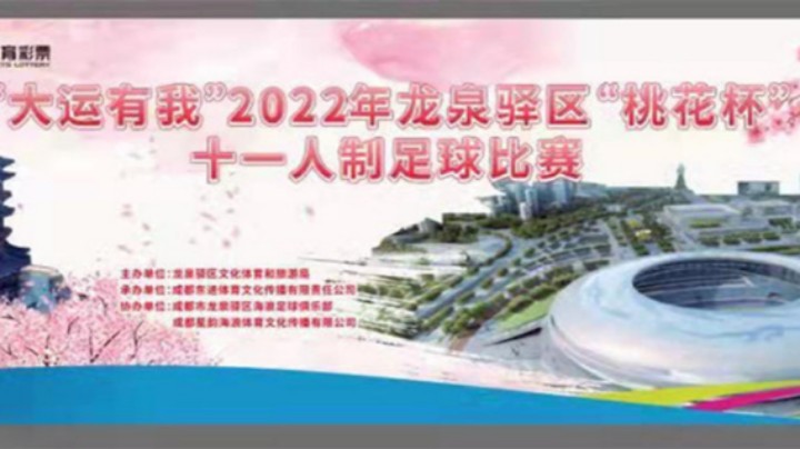 【全场】2022·龙泉驿区“桃花杯”十人人制足球联赛 屿蓝湾 VS 标榜学院