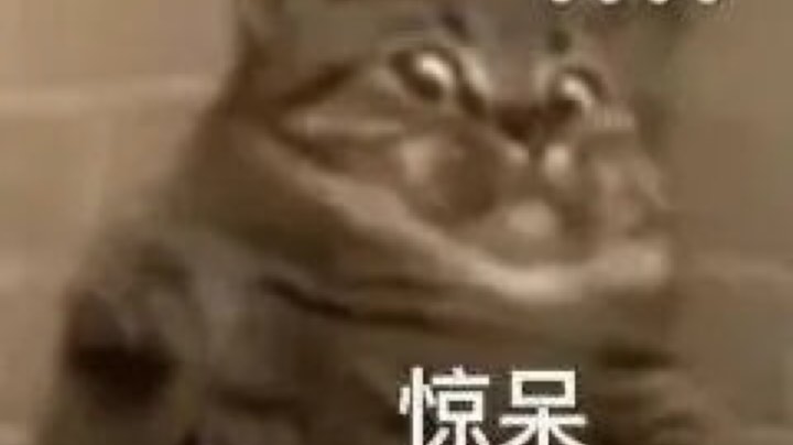 这游戏就离谱