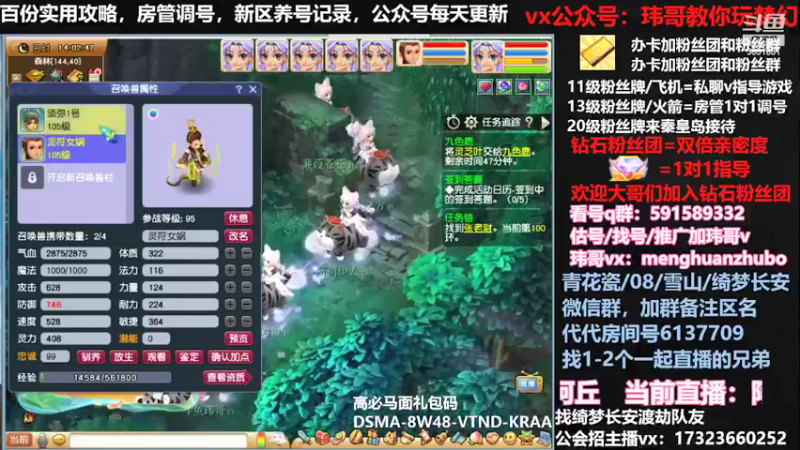 【2022-03-26 14点场】玮哥爱梦幻：新手学堂-蒹葭苍苍第29天-送攻略