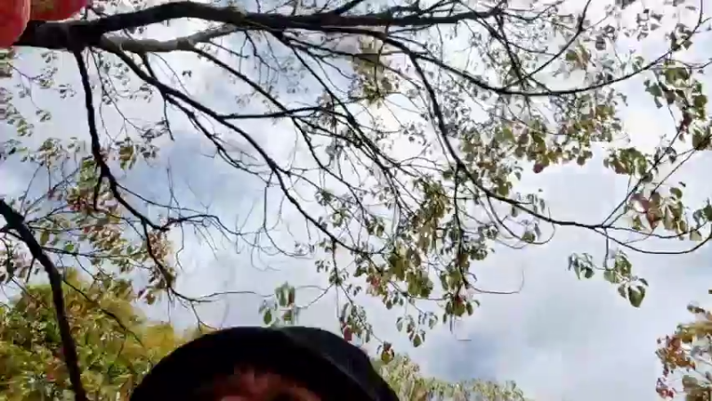 【2022-03-28 11点场】逐梦兄弟：休整一下，12点左右开