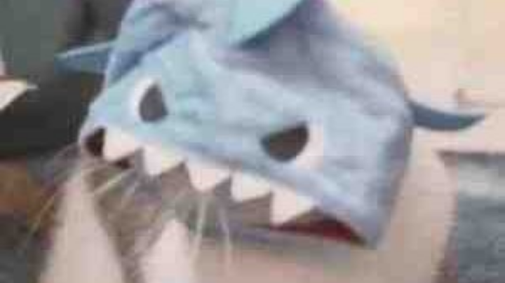 hhg