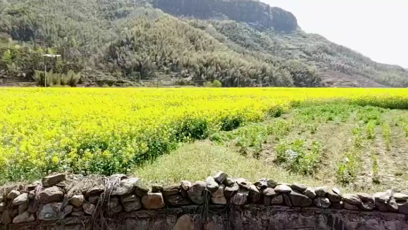 【2022-03-29 14点场】青春湖北：团团带你游大幕山滑翔伞