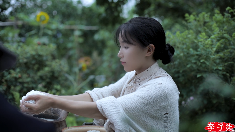 【美食】李子柒liziqi的精彩时刻 20220329 13点场