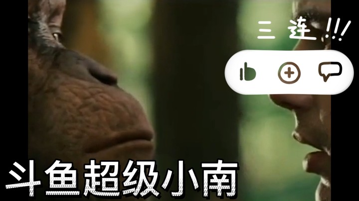 泽丽眼中的世界！