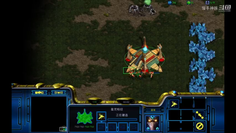 pvp斗魂应对dk开2矿战术慢手神族星际日常