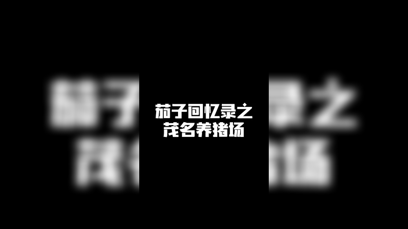 茄子回忆录之茂名养猪场