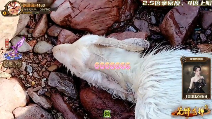 浩哥终于在海边找到了羊，这羊跑不了啊
