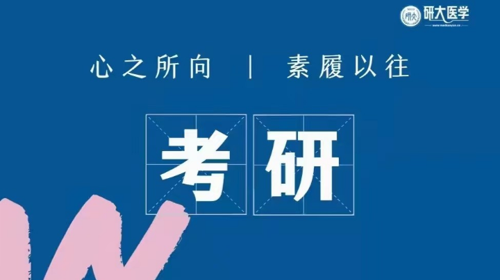 猪猪老大队长带飞