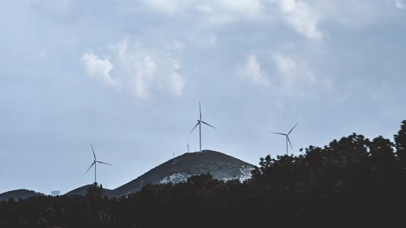 【2022-03-29 13点场】你喜欢花臂吗：⭐冠军车队，顶尖俱乐部⭐