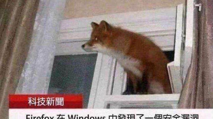 11连败没能收菜
