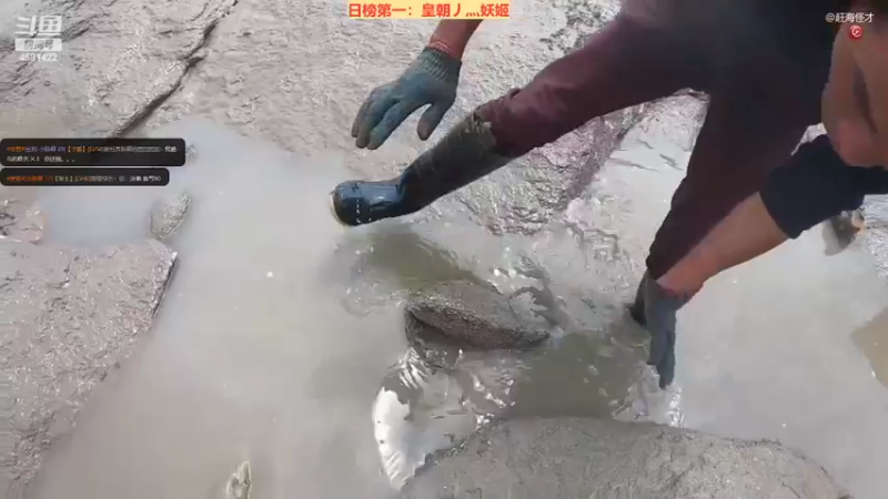 【2022-03-29 00点场】迷人的卿姐姐i：猛虎下山~~所到之处寸草不生~~