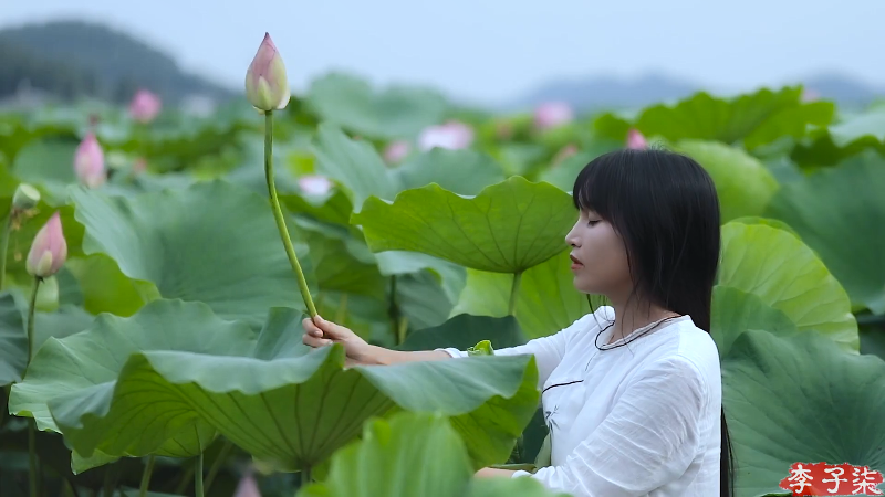 【美食】李子柒liziqi的精彩时刻 20220330 13点场