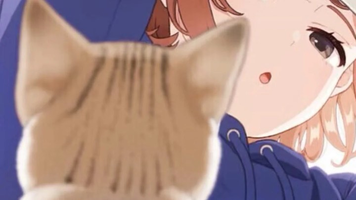 ♥(｡￫v￩｡)♥