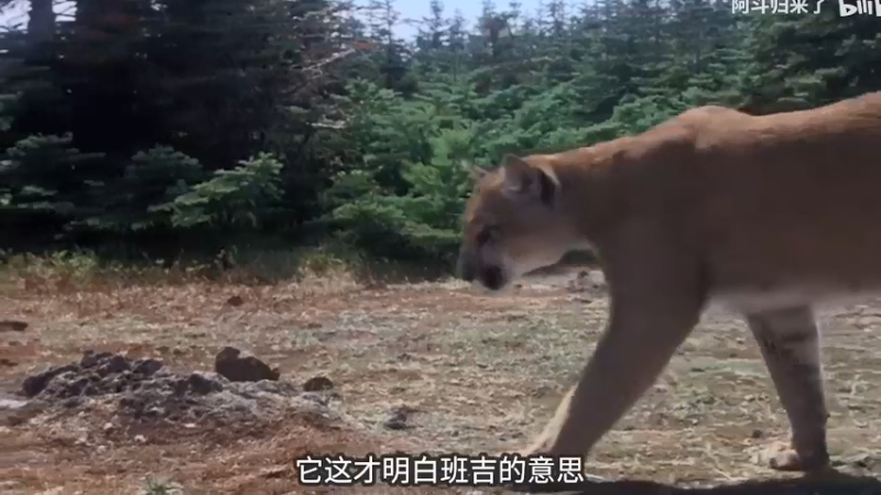 【2022-03-29 18点场】SAYA丶J：纯纯逆天哥的直播间