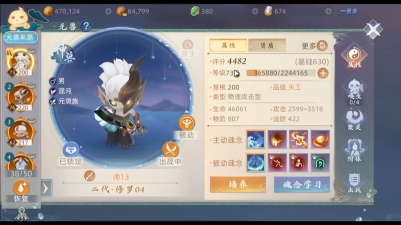 宠物伤害