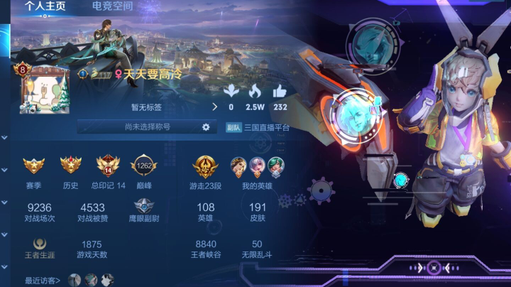 王者掉星之路直播录像