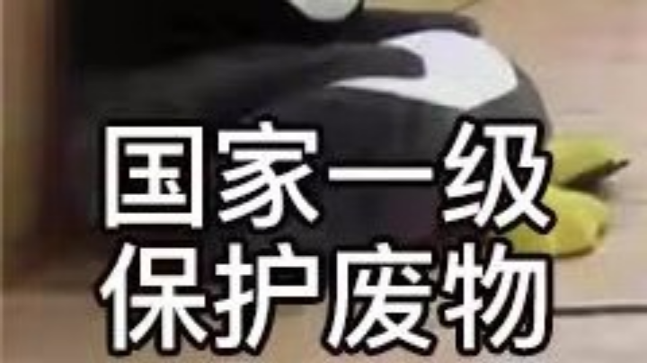 小丑局罢了