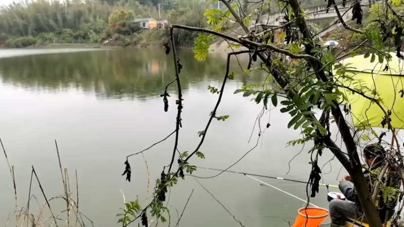 【2022-03-31 12点场】中华户外钓鱼：开播啦！钓鱼休闲时光