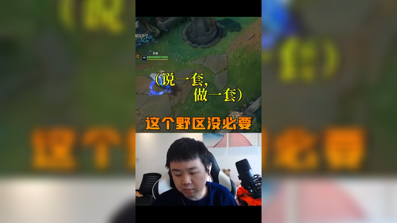 说一套，做一套