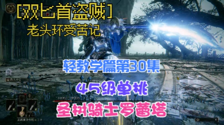 《艾尔登法环》双匕首真·盗贼受苦记，第30集轻教学篇45级单挑圣树骑士罗蕾塔