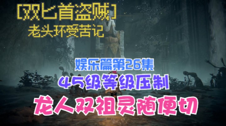 《艾尔登法环》双匕首真·盗贼受苦记，第26集娱乐篇45级等级压制龙人双祖灵