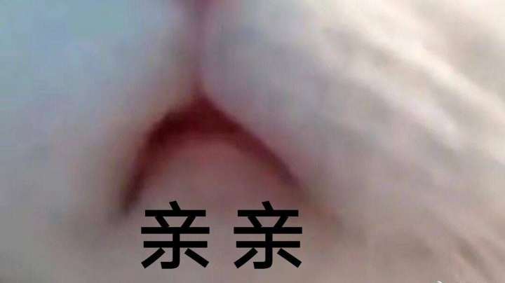 虽然黑但是一路很搞笑hhhhhhhh（手机云端视角）