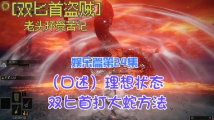 《艾尔登法环》双匕首真·盗贼受苦记，第24集娱乐篇大蛇双匕首打法理想推荐（口述）