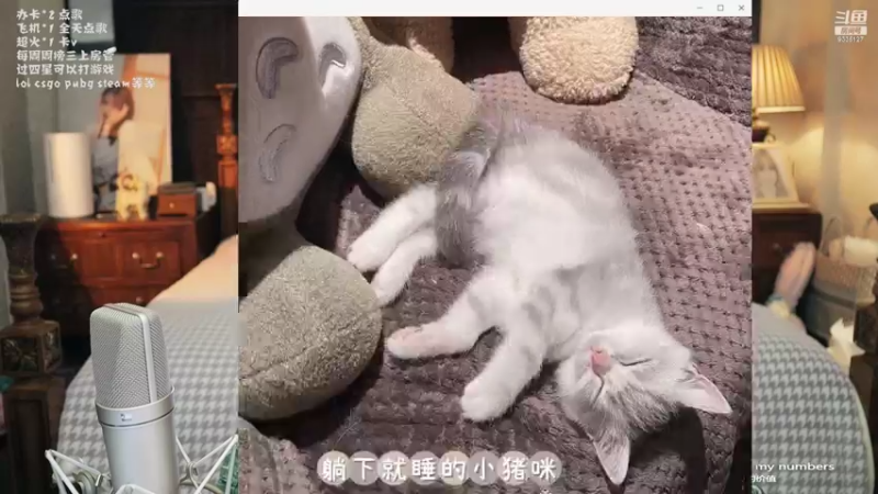 【2022-03-31 18点场】亲亲不小心：每天16：20斗歌台不见不散~