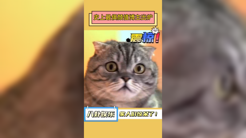 【智勋】兄弟们，说句最帅不过分吧！