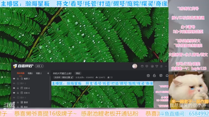 【2022-03-29 16点场】长岛冰茶n：你的大可爱已上线！