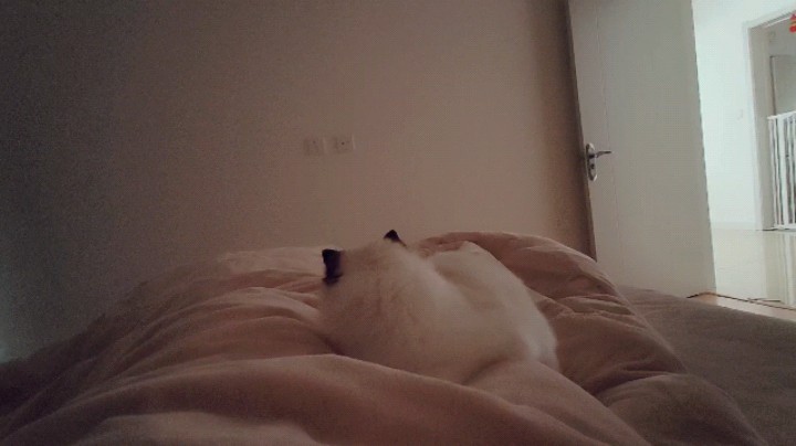 我一点都不困==
今天下午咕咕