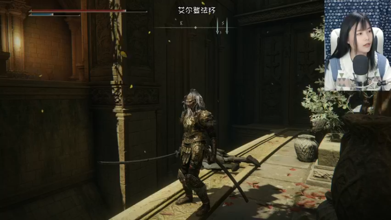 【2022-04-01 02点场】夹克兔：无猎犬步伐无尸山血海无盾反月影打女武神