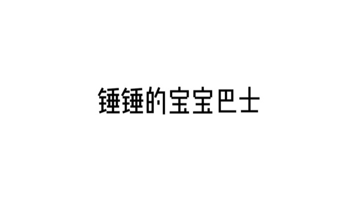锤锤的宝宝巴士