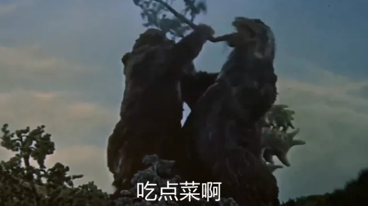 旅途内战直播录像