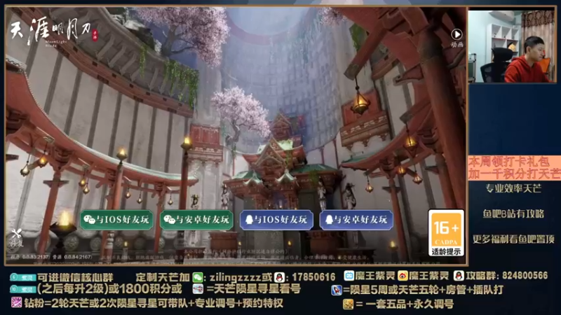 【2022-04-01 17点场】魔王紫灵：紫灵:专业天芒导师