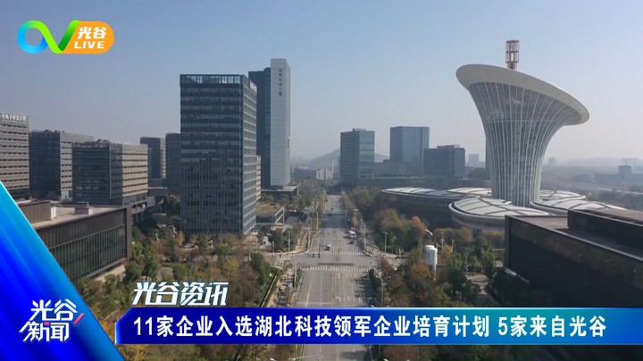 20220401光谷新闻周五版