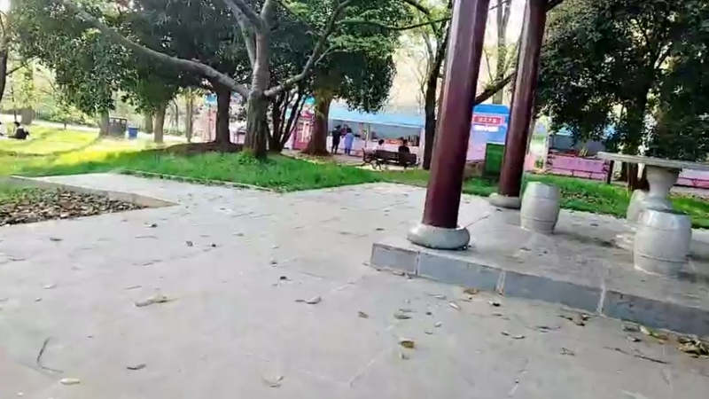 【2022-03-29 17点场】百变姑姑肖淑洁：武汉东湖樱花园