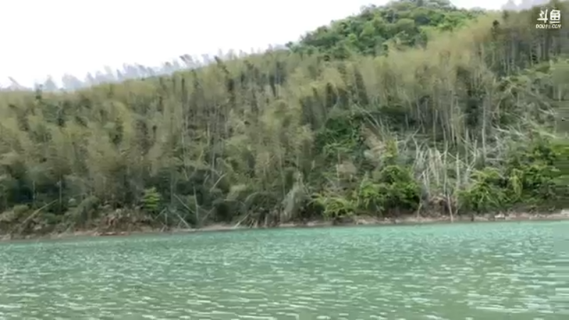 【2022-04-01 13点场】中华户外钓鱼：开播啦！钓鱼休闲时光