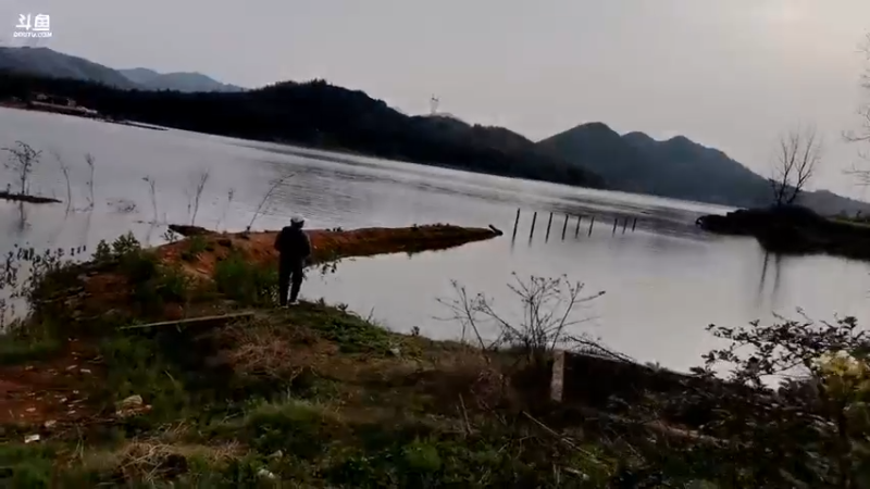 【2022-04-02 17点场】中华户外钓鱼：开播啦！钓鱼休闲时光