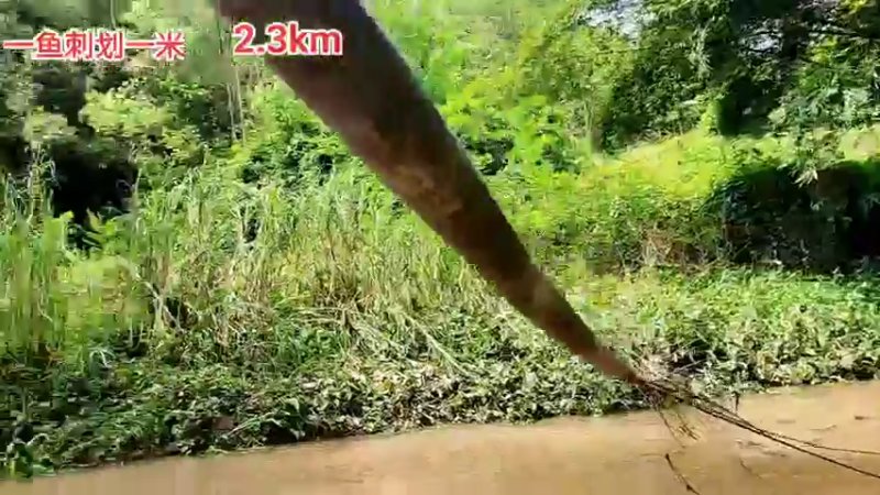 【2022-04-02 11点场】逐梦兄弟：《牙滨逊漂流记》