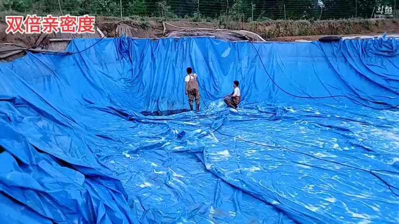 【2022-04-02 19点场】川味箩卜：【双倍亲密度】四月新的开始~