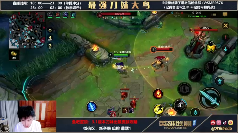 【2022-04-01 23点场】大鸟Irelia：大鸟：刀妹亚索卡特蚊子王