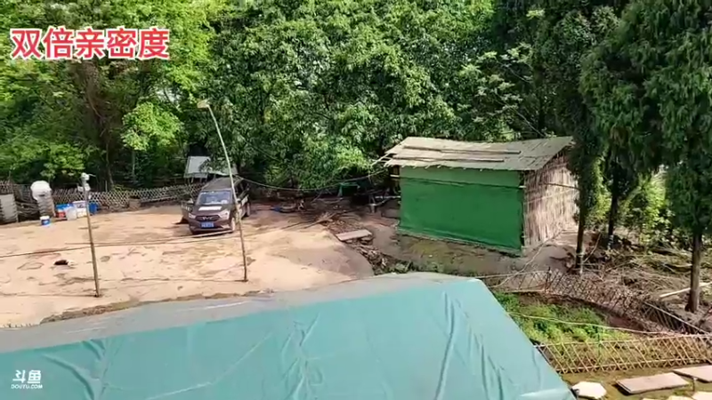 【2022-04-02 15点场】川味箩卜：【双倍亲密度】四月新的开始~